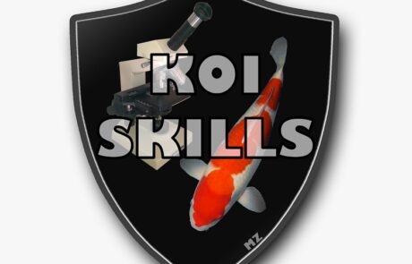 Partners 6 KoiSkills logo