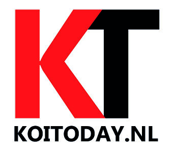 Partners 5 Logo KoiToday