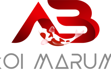 Partners 4 Logo2 2