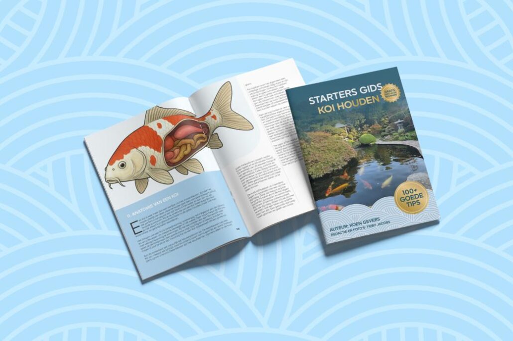 WhatsApp Image 2026 01 28 at 12.31.25