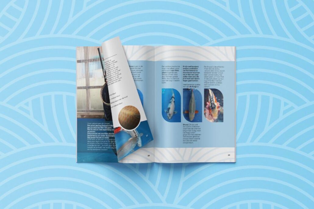 WhatsApp Image 2026 01 28 at 12.31.33